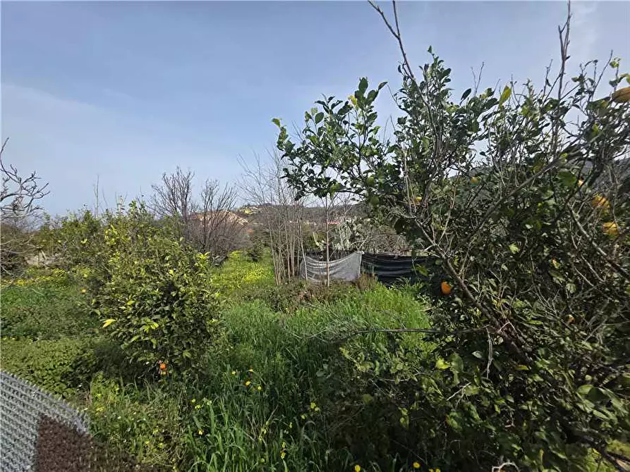 Immagine 4 di Terreno in vendita  in Via Kennedy, 35 a Saponara