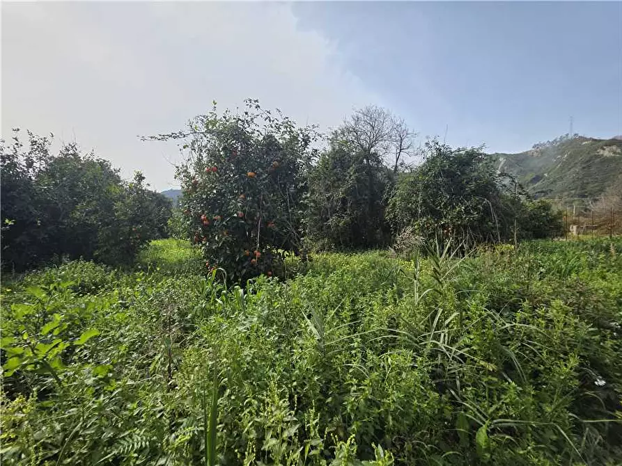 Immagine 6 di Terreno in vendita  in Via Kennedy, 35 a Saponara