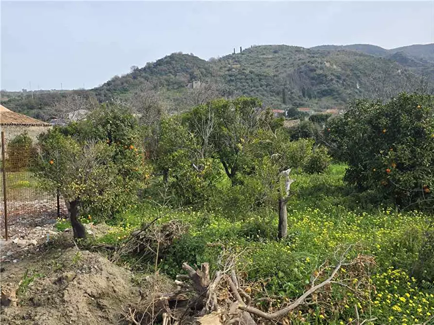 Immagine 7 di Terreno in vendita  in Via Kennedy, 35 a Saponara