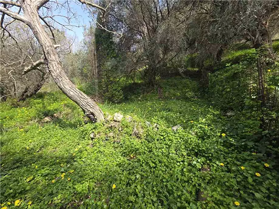 Immagine 19 di Villa in vendita  in Via roma, 245 a Saponara