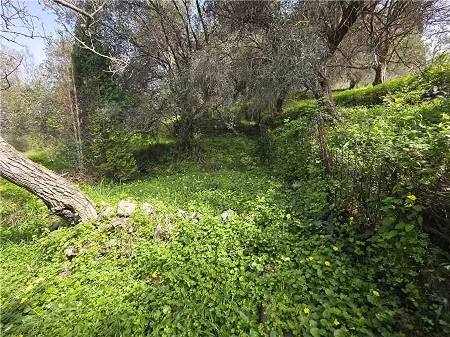 Immagine 20 di Villa in vendita  in Via roma, 245 a Saponara