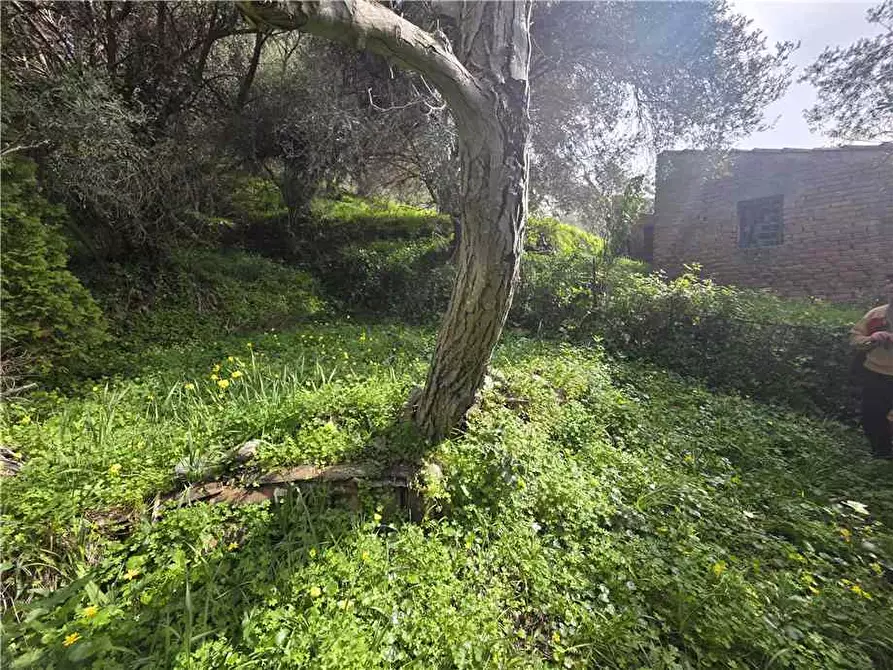 Immagine 21 di Villa in vendita  in Via roma, 245 a Saponara