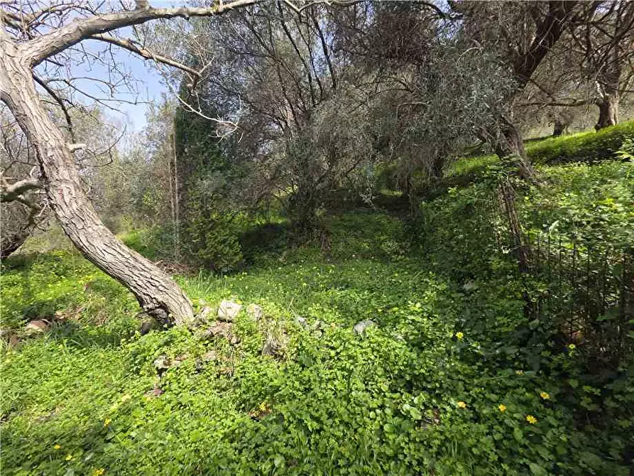 Immagine 22 di Villa in vendita  in Via roma, 245 a Saponara