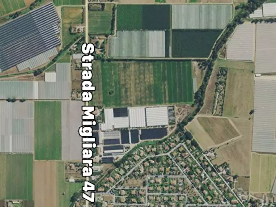 Immagine 3 di Capannone industriale in affitto  a Latina