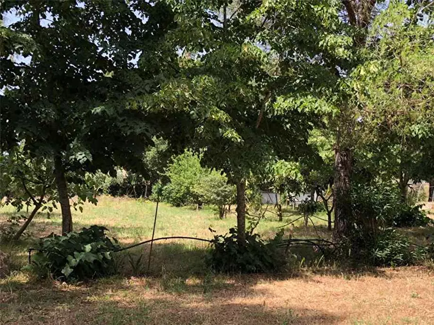 Immagine 4 di Villa in vendita  a Latina