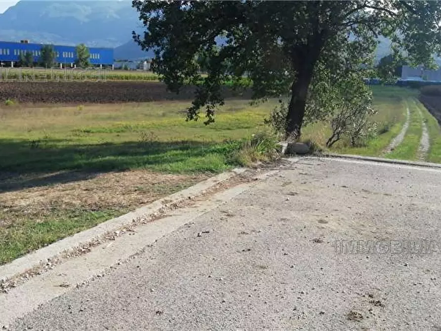 Immagine 6 di Terreno in vendita  in Via Fabbricata, snc a Pontecorvo