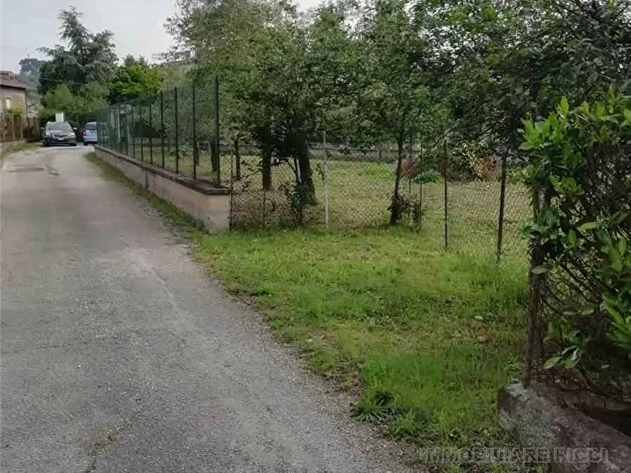 Immagine 7 di Terreno in vendita  in Via Tre Fontane, snc a Pontecorvo