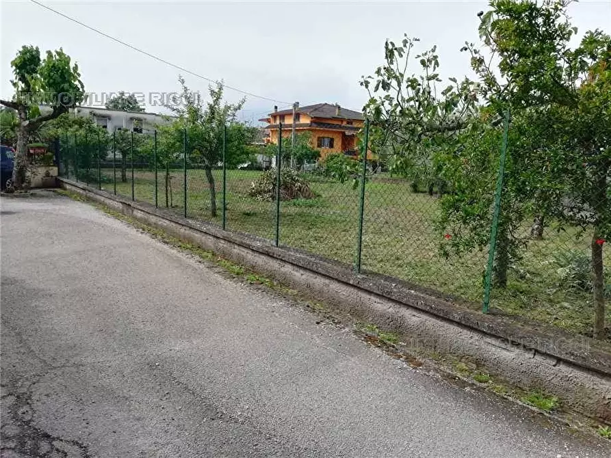 Immagine 8 di Terreno in vendita  in Via Tre Fontane, snc a Pontecorvo