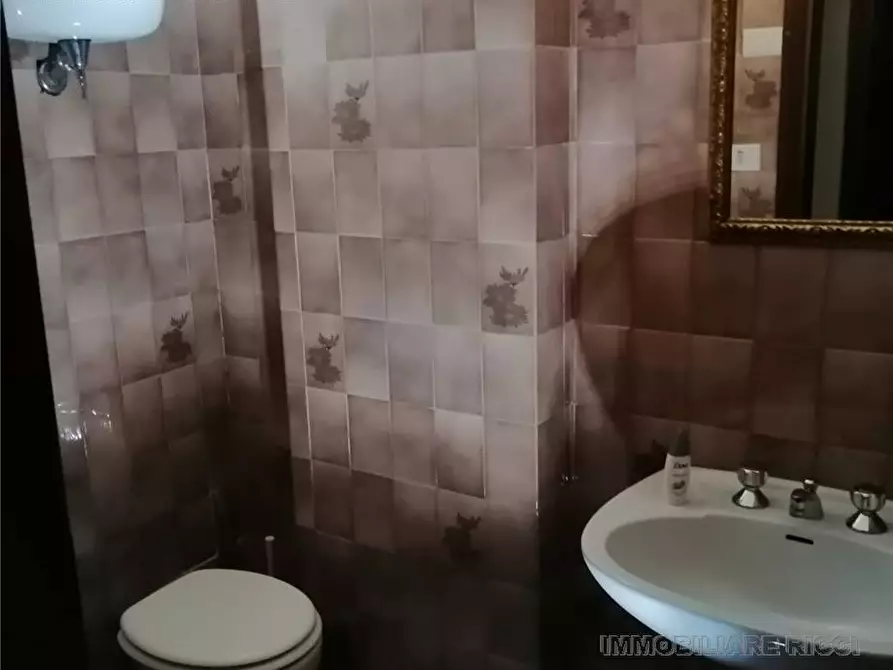 Immagine 6 di Attività commerciale in vendita  in Via San Giovanni Battista, snc a Pontecorvo