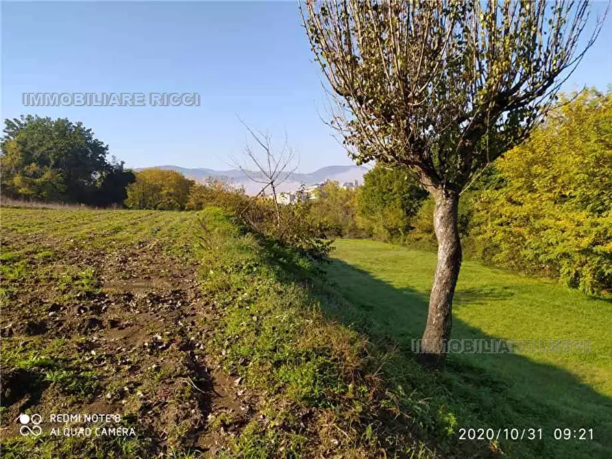 Immagine 6 di Terreno in vendita  in Via Querce Santa Maria, snc a Pontecorvo