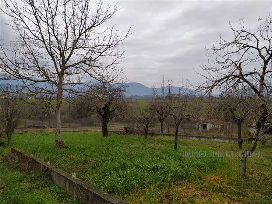 Immagine 15 di Villa in vendita  a Pontecorvo