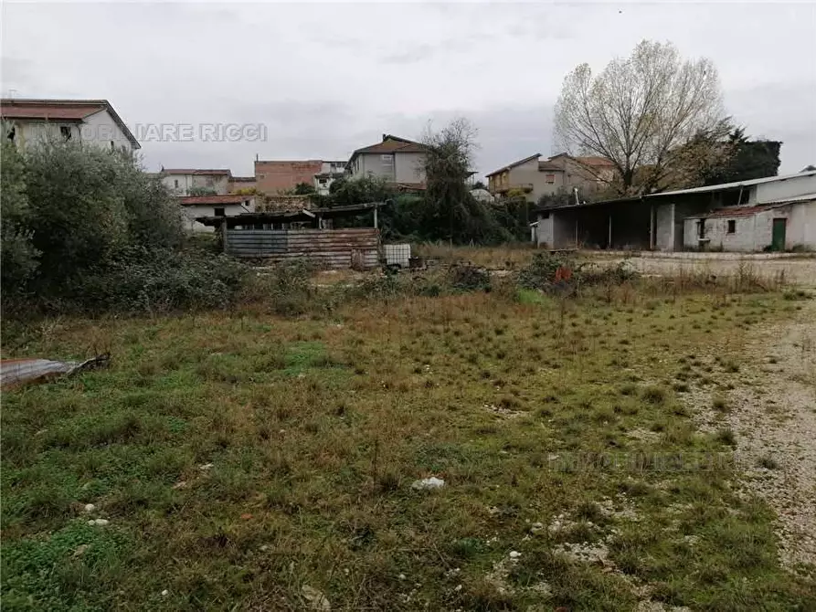 Immagine 7 di Terreno in vendita  a Pontecorvo