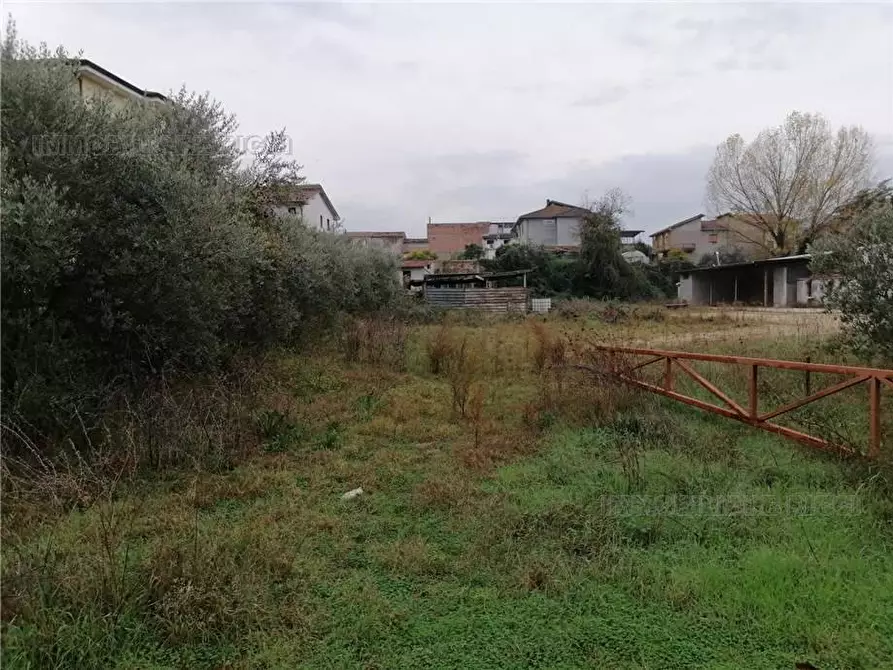 Immagine 8 di Terreno in vendita  a Pontecorvo