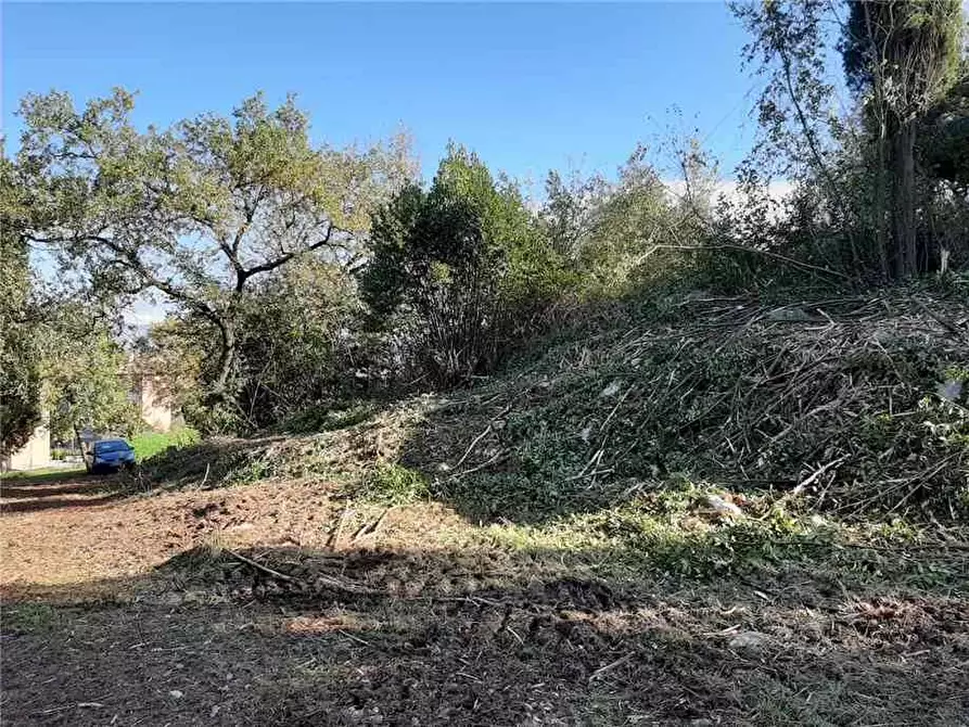 Immagine 6 di Rustico / casale in vendita  a Pontecorvo