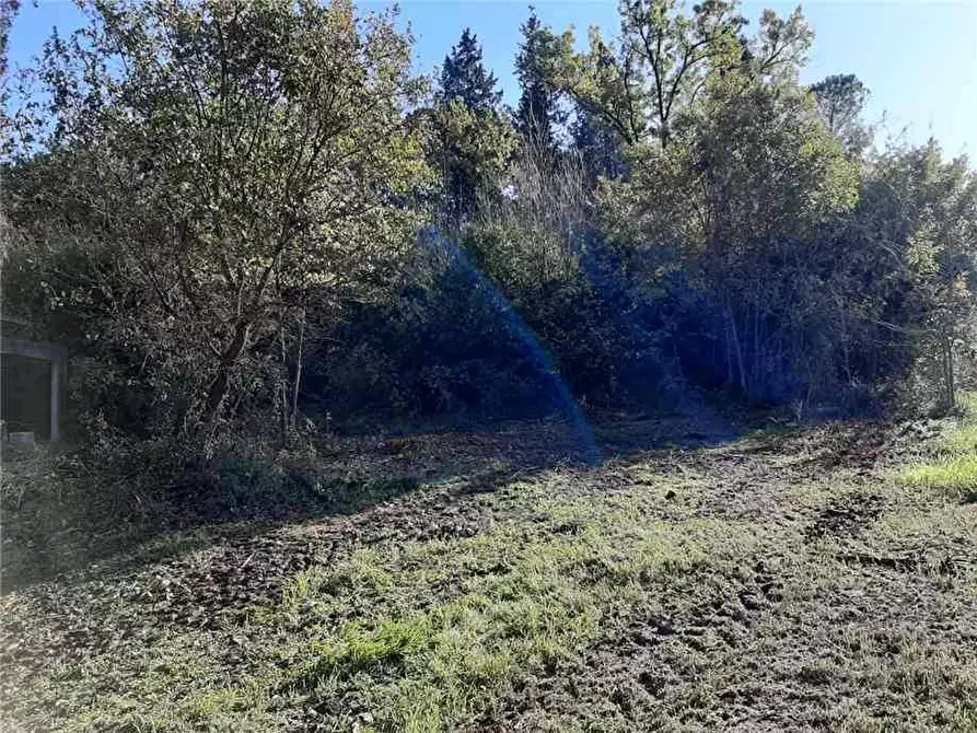 Immagine 7 di Rustico / casale in vendita  a Pontecorvo