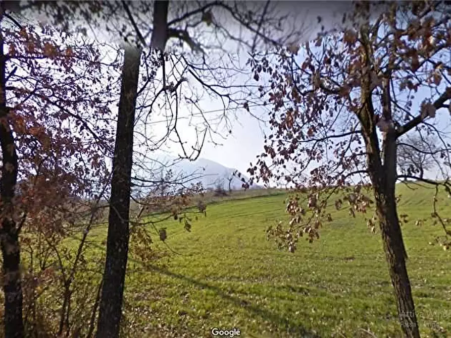 Immagine 17 di Terreno in vendita  a Pontecorvo