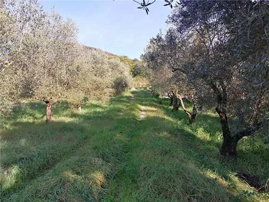 Immagine 6 di Rustico / casale in vendita  a Pontecorvo