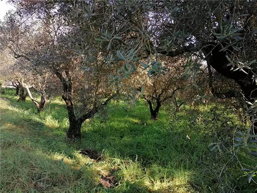 Immagine 7 di Rustico / casale in vendita  a Pontecorvo