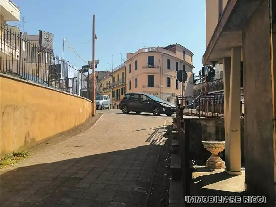 Immagine 9 di Attività commerciale in vendita  a Pontecorvo