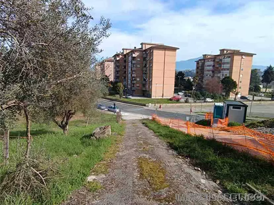 Immagine 11 di Villa in vendita  a Pontecorvo