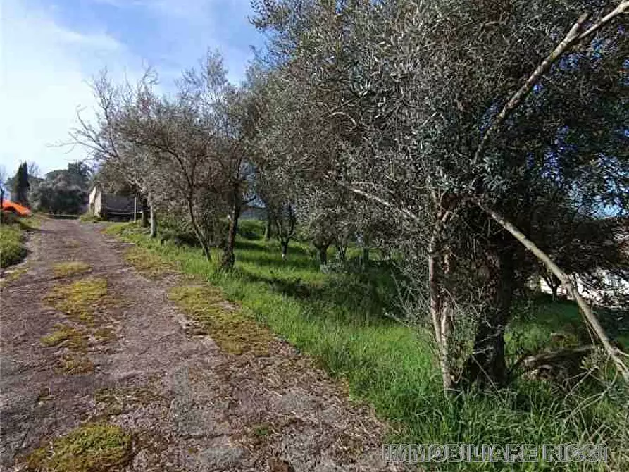 Immagine 12 di Villa in vendita  a Pontecorvo