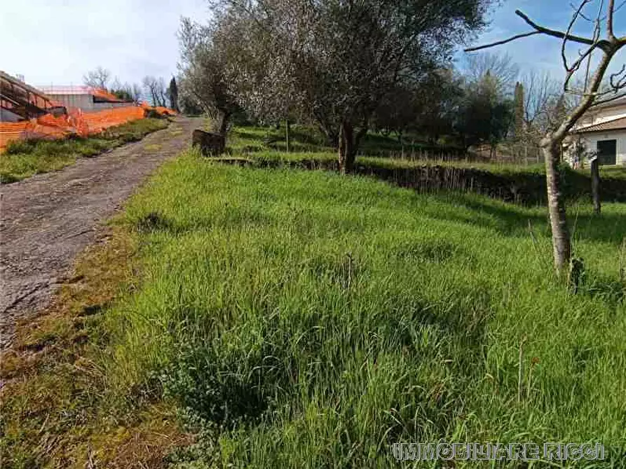 Immagine 13 di Villa in vendita  a Pontecorvo