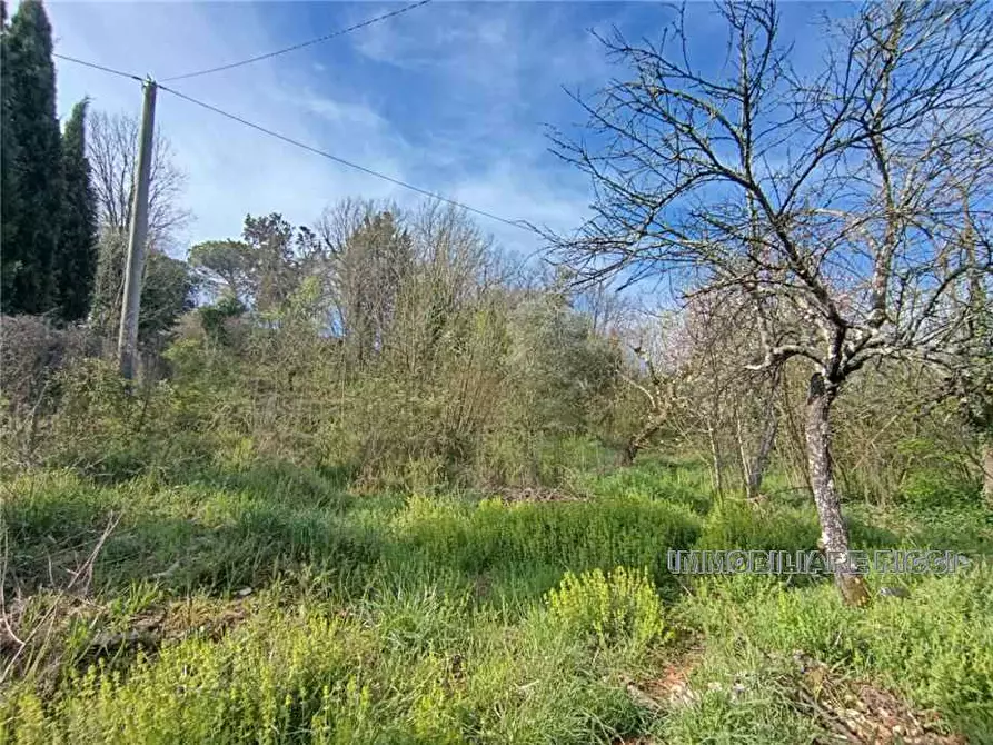 Immagine 15 di Villa in vendita  a Pontecorvo