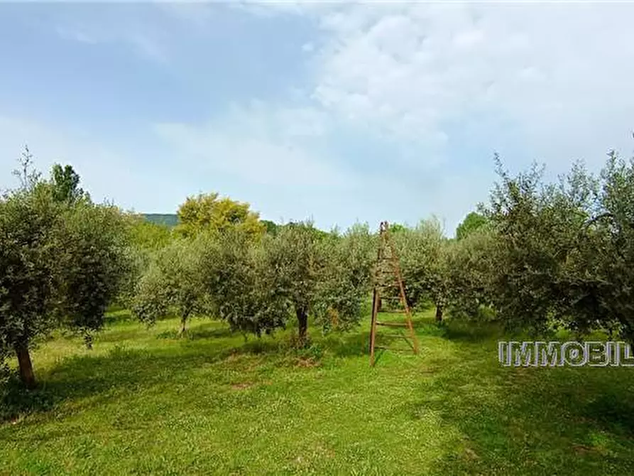 Immagine 15 di Terreno in vendita  a Pontecorvo