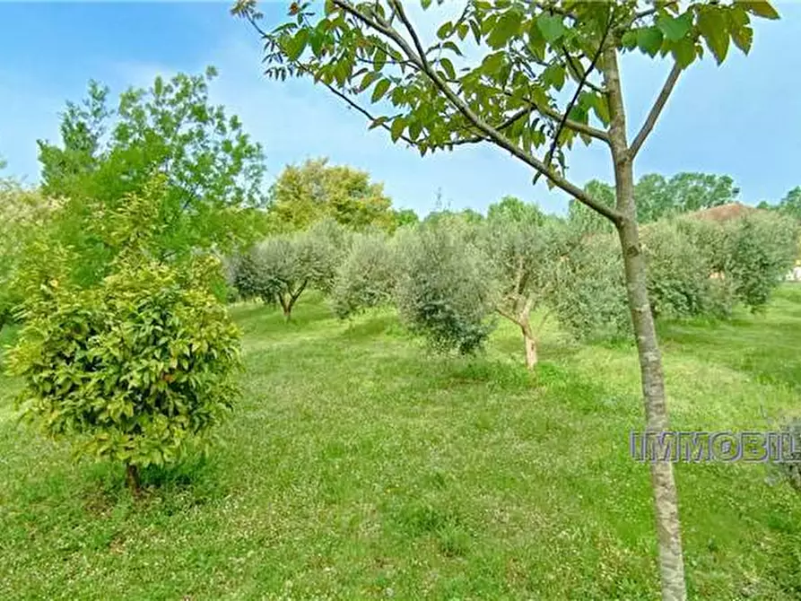 Immagine 16 di Terreno in vendita  a Pontecorvo