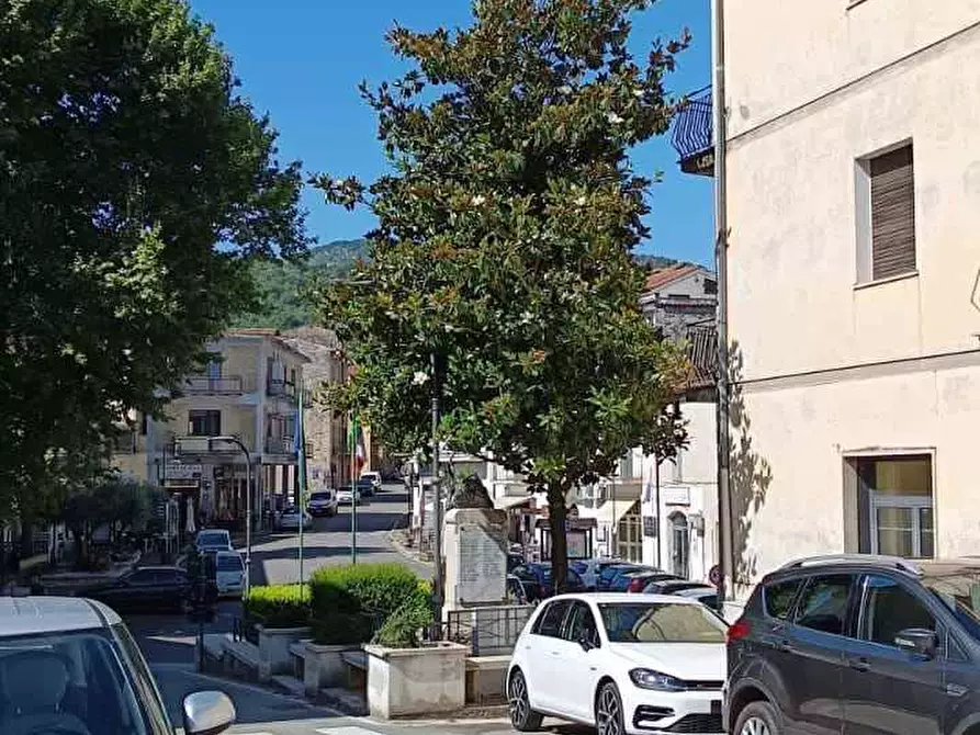 Immagine 8 di Attività commerciale in vendita  a Pico