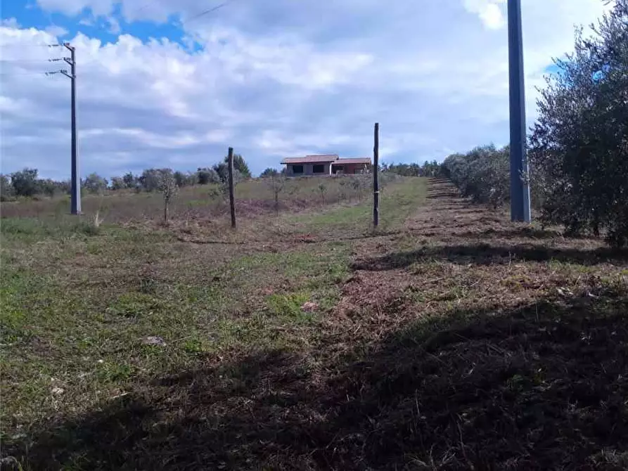 Immagine 7 di Rustico / casale in vendita  a San Giovanni Incarico