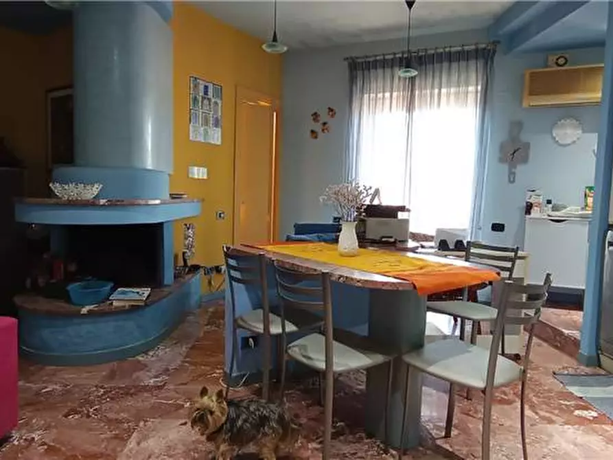 Immagine 17 di Appartamento in vendita  a Pontecorvo