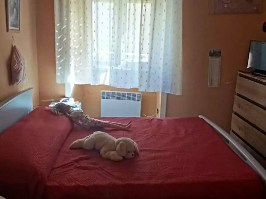 Immagine 9 di Appartamento in vendita  a Pontecorvo