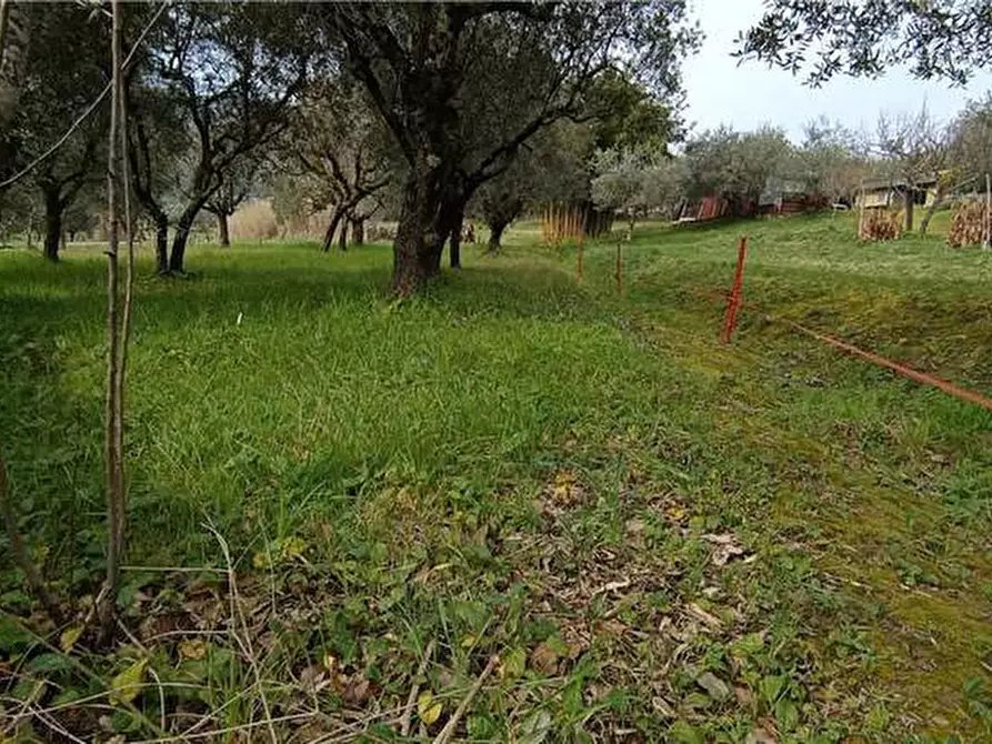 Immagine 16 di Rustico / casale in vendita  a Pico