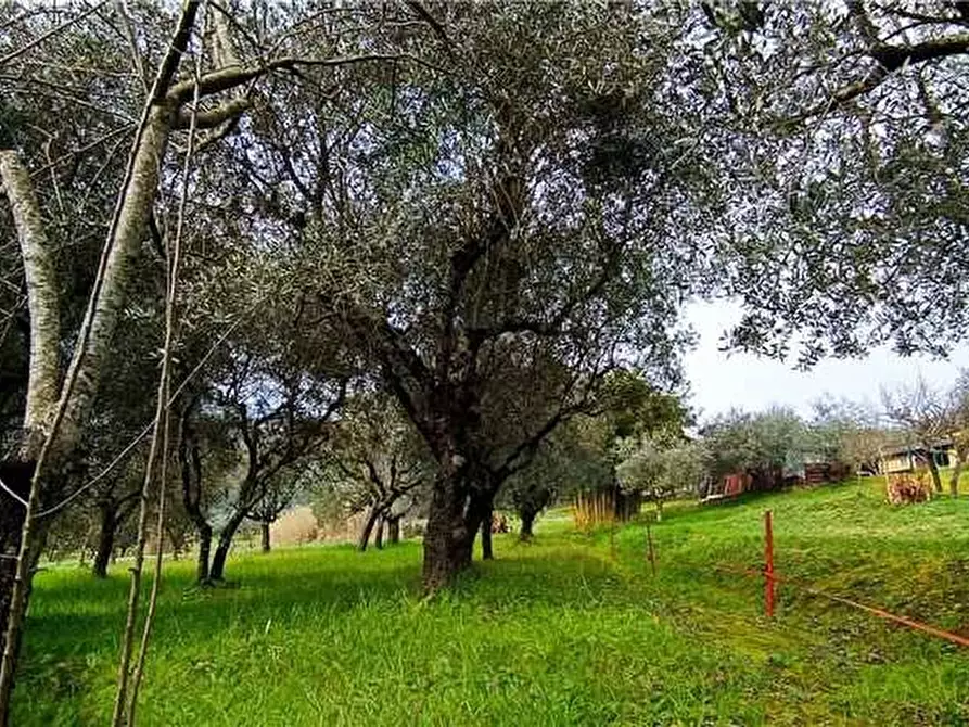 Immagine 17 di Rustico / casale in vendita  a Pico