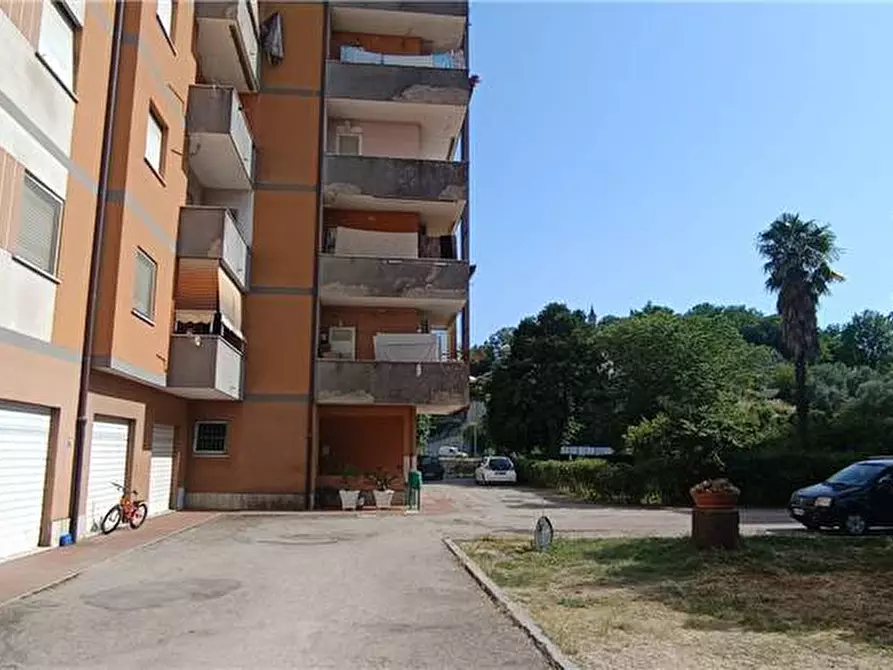 Immagine 18 di Appartamento in vendita  a Pontecorvo