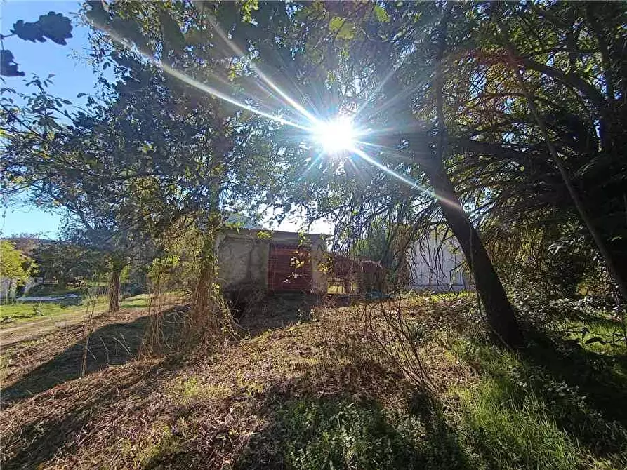 Immagine 19 di Villa in vendita  a Pontecorvo