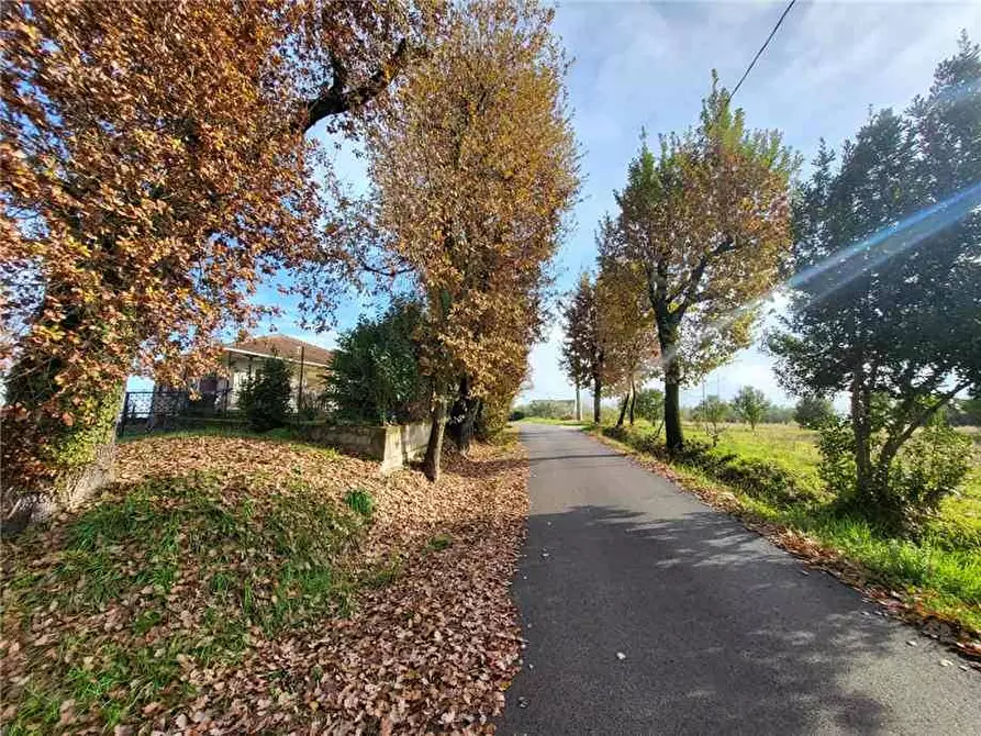 Immagine 19 di Villa in vendita  in Contrada Fabbricata a Pontecorvo