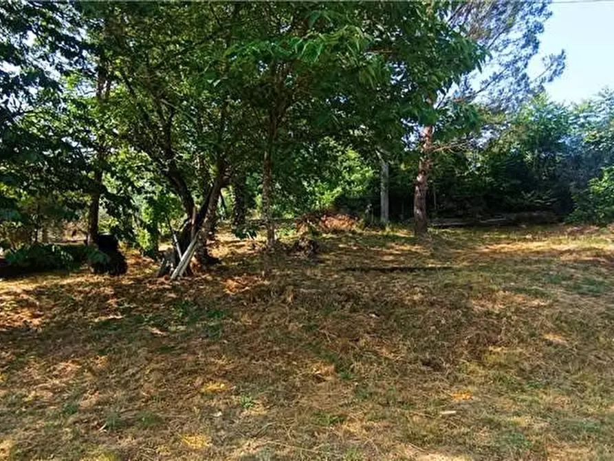 Immagine 18 di Villa in vendita  a Pontecorvo