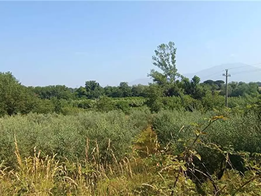 Immagine 20 di Villa in vendita  a Pontecorvo