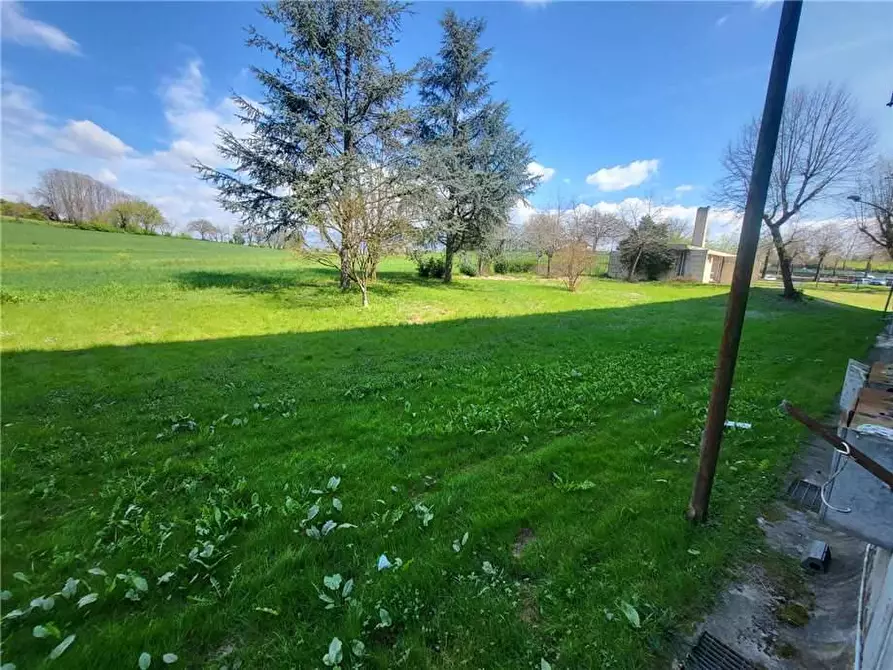 Immagine 17 di Appartamento in vendita  a Pontecorvo
