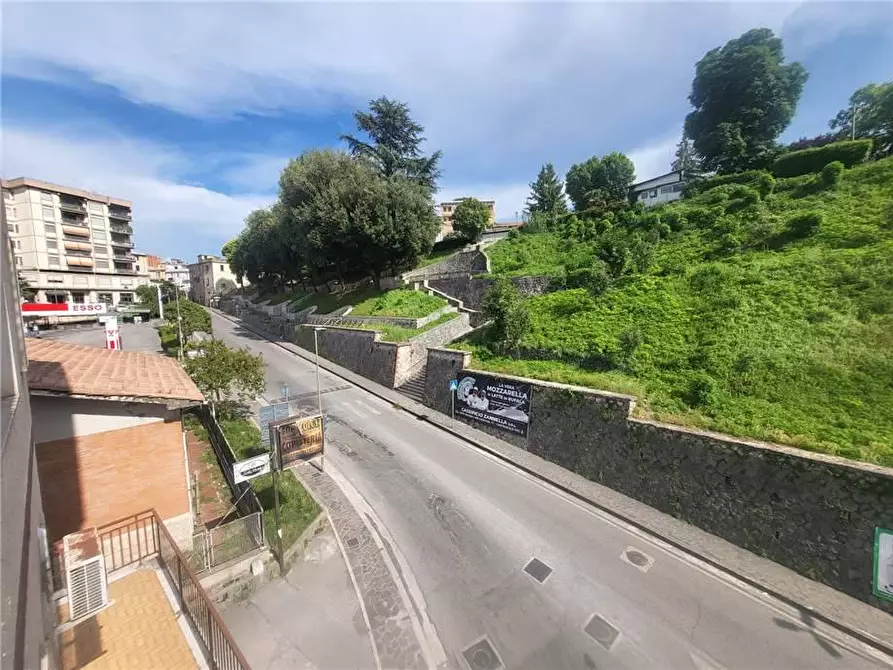 Immagine 19 di Appartamento in vendita  a Pontecorvo