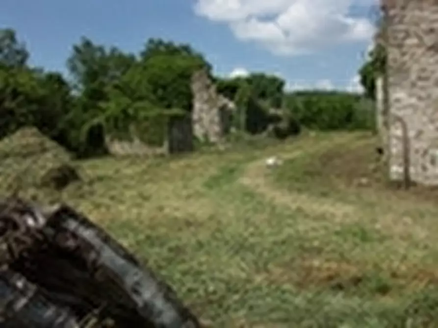 Immagine 6 di Rustico / casale in vendita  a Todi
