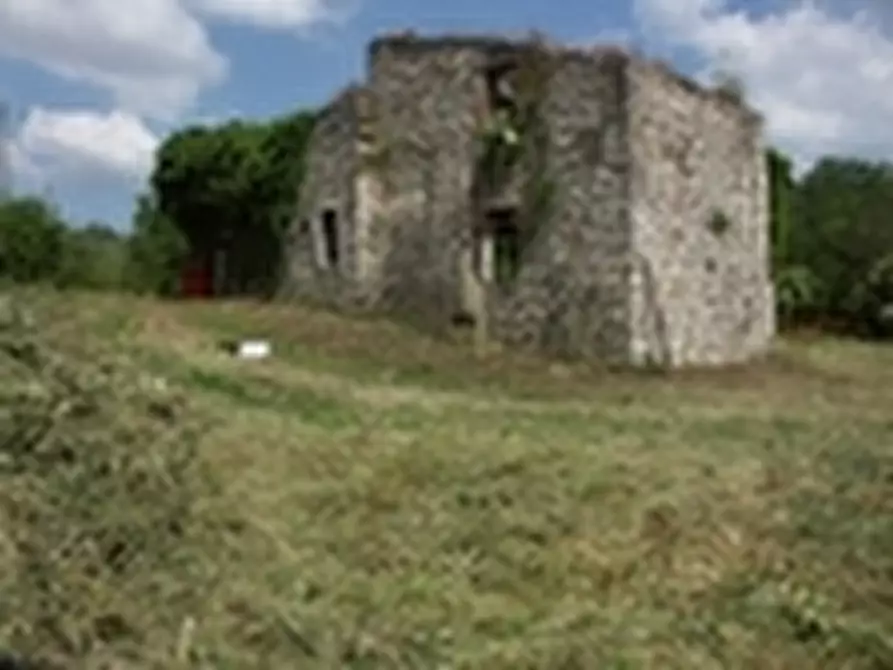 Immagine 7 di Rustico / casale in vendita  a Todi