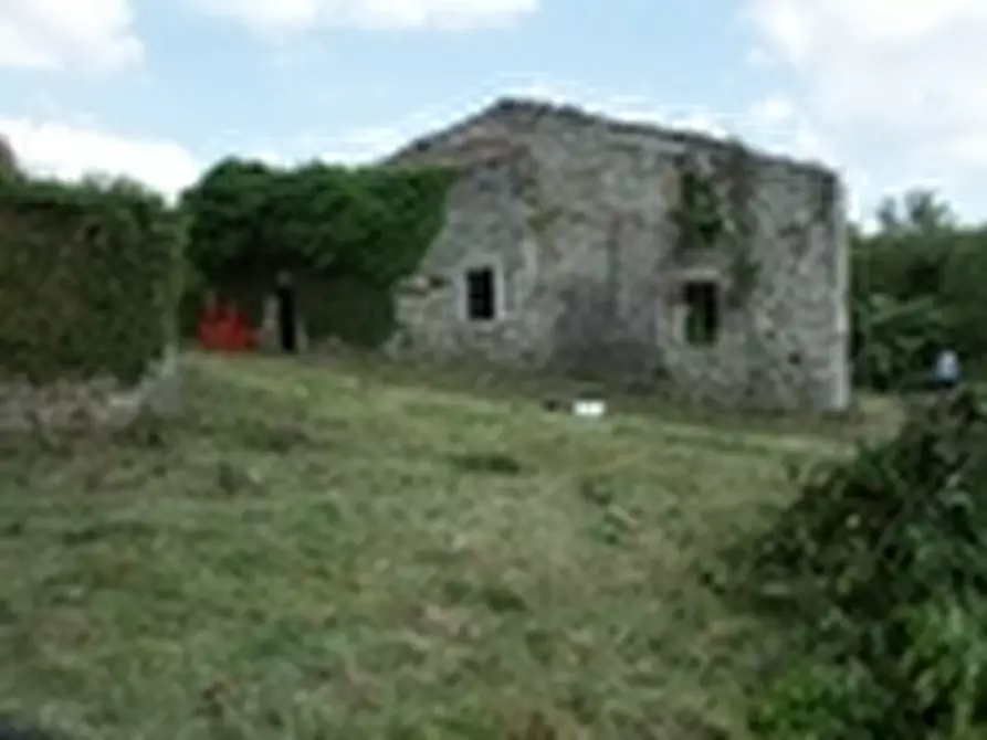 Immagine 9 di Rustico / casale in vendita  a Todi