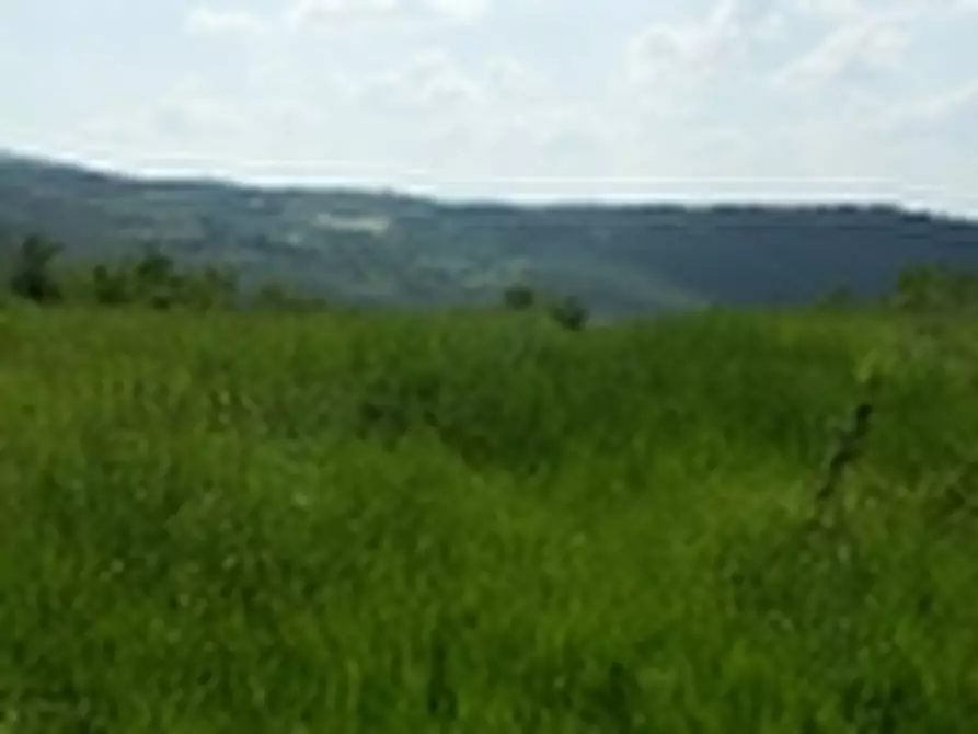 Immagine 10 di Rustico / casale in vendita  a Todi