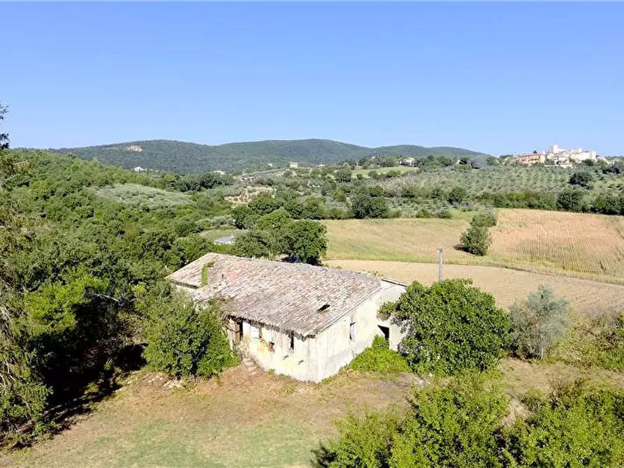 Immagine 10 di Rustico / casale in vendita  in Loc. Regnicolo a Gualdo Cattaneo