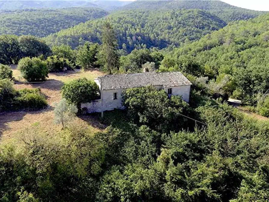 Immagine 11 di Rustico / casale in vendita  in Loc. Regnicolo a Gualdo Cattaneo