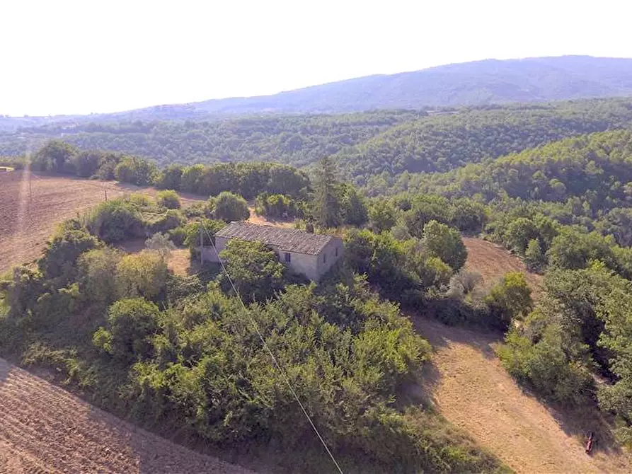 Immagine 12 di Rustico / casale in vendita  in Loc. Regnicolo a Gualdo Cattaneo