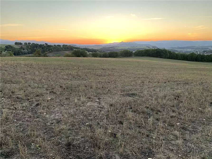 Immagine 6 di Rustico / casale in vendita  a Todi
